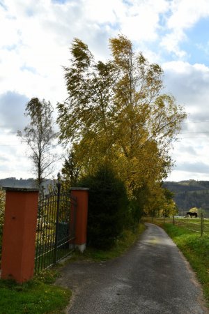 Čikvásky