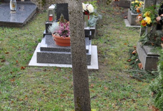 O.N., 2012