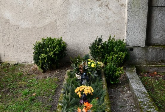 O.N., 2012