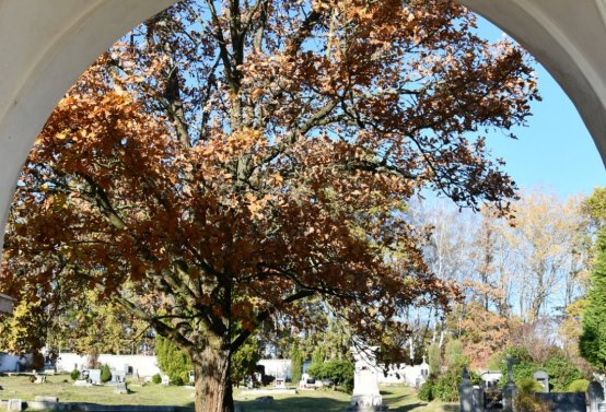 Hřbitov a náhrobky v roce 2021, O.C., 2021