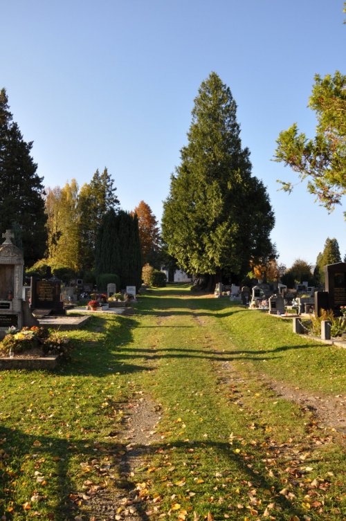 Skalice u České Lípy