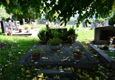 O.N., 2021