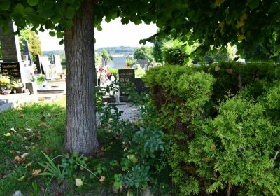 O.N., 2021