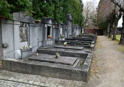 O.N., 2021