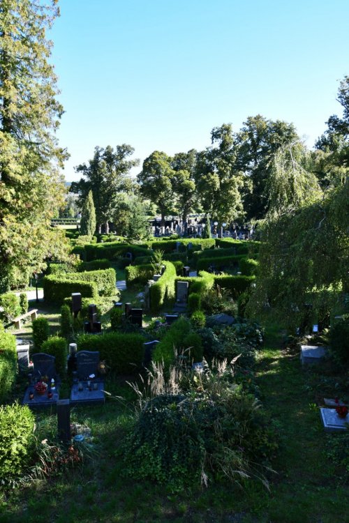 Doubravka (Ústřední městský)