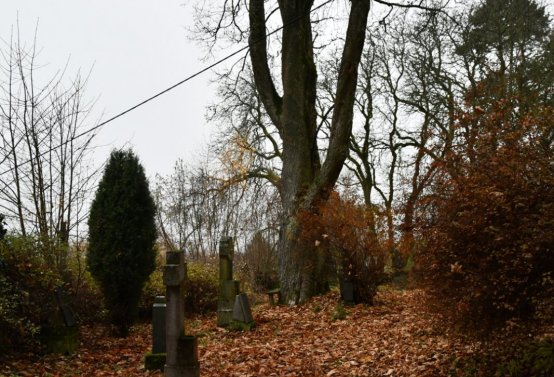 O.N., 2022
