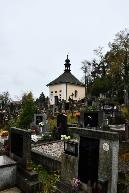 Poleň
