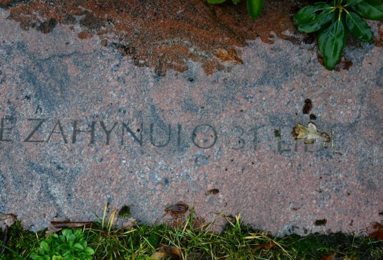 O.N., 2022
