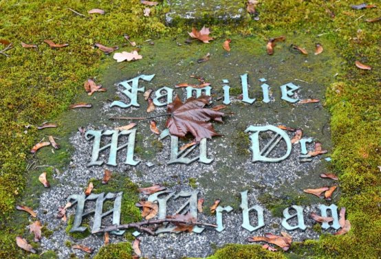 O.N., 2022