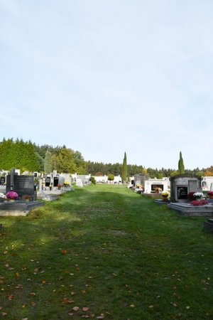 Trnová