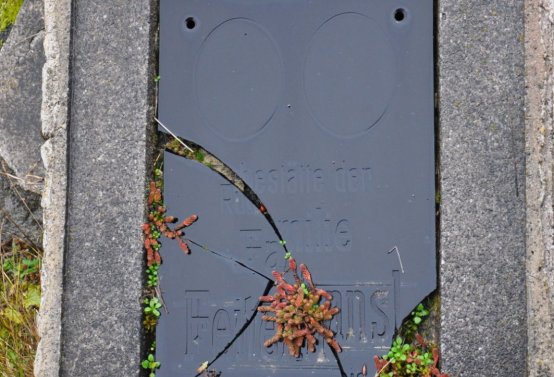 O.N., 2022
