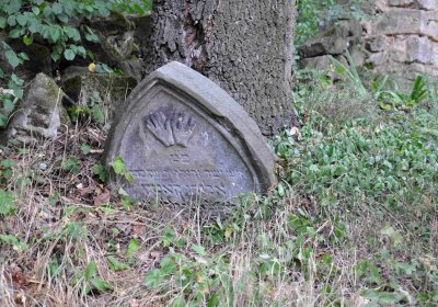 Větrovská Barbora, 2015