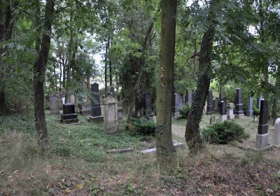 Větrovská Barbora, 2015