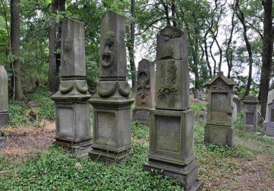 Větrovská Barbora, 2015