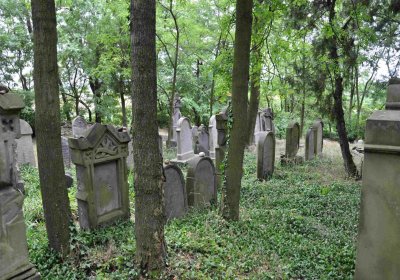 Větrovská Barbora, 2015