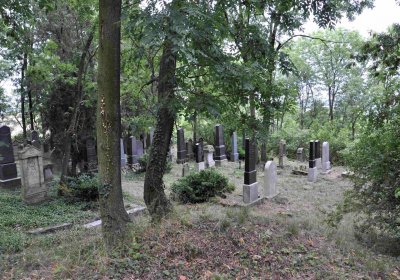 Větrovská Barbora, 2015