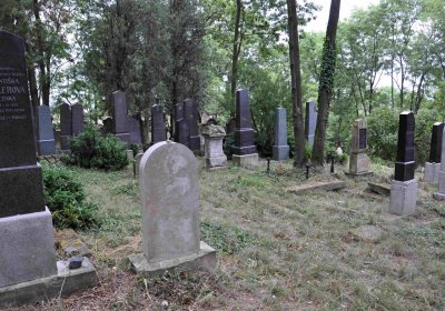 Větrovská Barbora, 2015