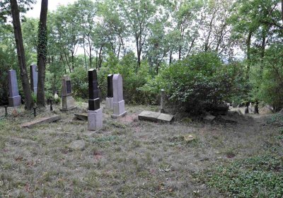 Větrovská Barbora, 2015