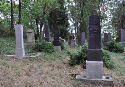 Větrovská Barbora, 2015