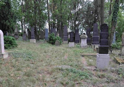 Větrovská Barbora, 2015