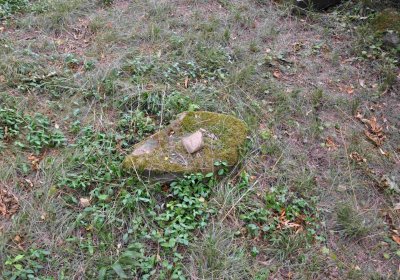 Větrovská Barbora, 2015