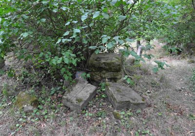 Větrovská Barbora, 2015