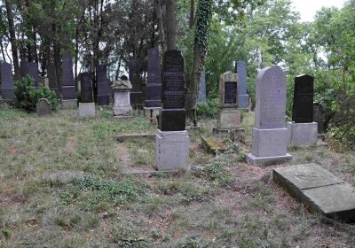 Větrovská Barbora, 2015