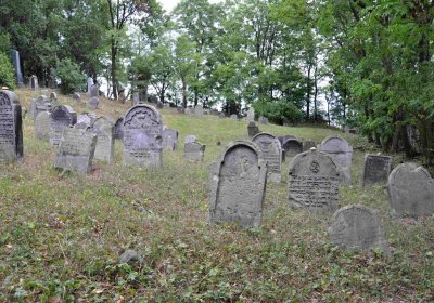 Větrovská Barbora, 2015