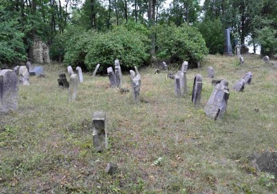 Větrovská Barbora, 2015