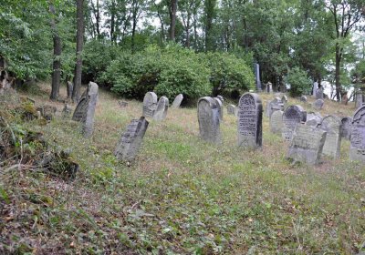 Větrovská Barbora, 2015