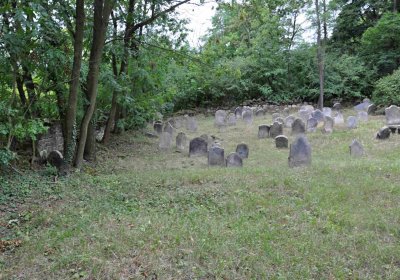 Větrovská Barbora, 2015