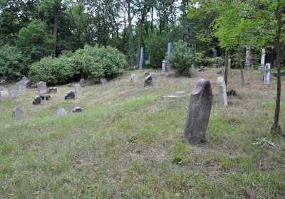 Větrovská Barbora, 2015