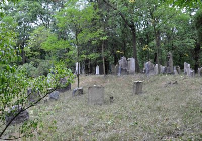 Větrovská Barbora, 2015