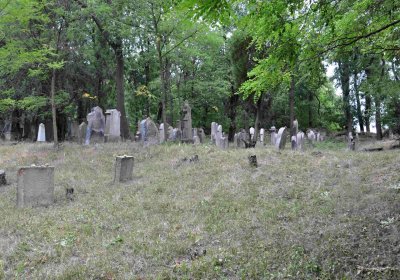 Větrovská Barbora, 2015