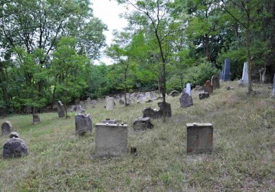 Větrovská Barbora, 2015