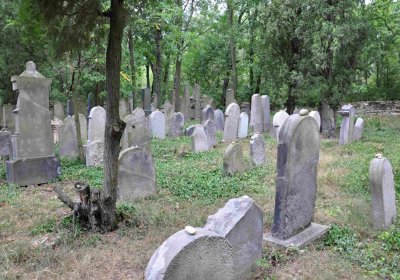 Větrovská Barbora, 2015