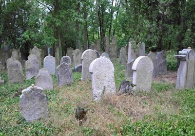 Větrovská Barbora, 2015