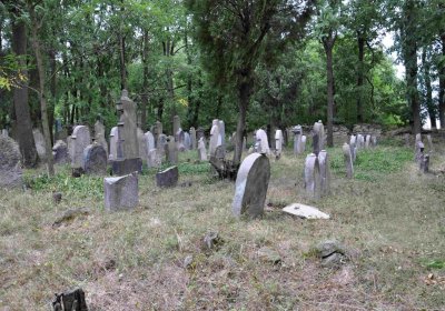 Větrovská Barbora, 2015