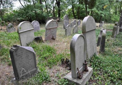 Větrovská Barbora, 2015