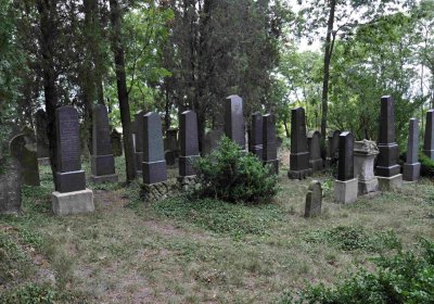 Větrovská Barbora, 2015