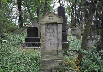 Větrovská Barbora, 2015