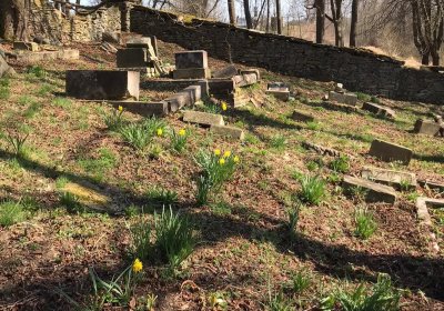 Jitka Mouchová, 2025