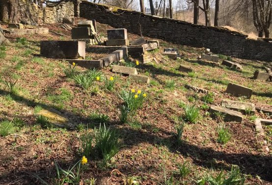 Jitka Mouchová, 2025