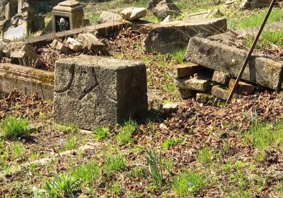 Jitka Mouchová, 2025