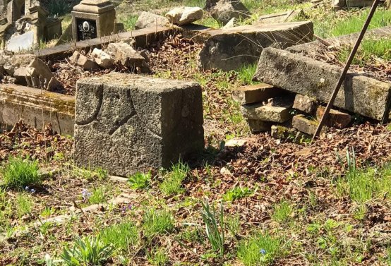 Jitka Mouchová, 2025