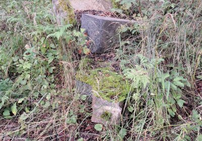 Jitka Mouchová, 2025