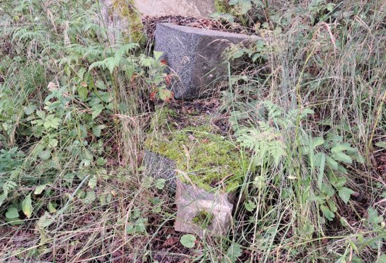 Jitka Mouchová, 2025