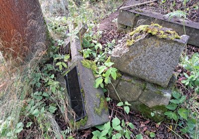 Jitka Mouchová, 2025