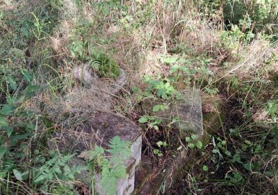 Jitka Mouchová, 2025