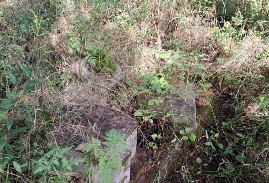 Jitka Mouchová, 2025